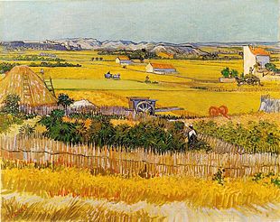 van_gogh_la_crau