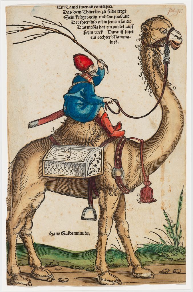 ALS KUNST JE LIEF&nbsp;IS