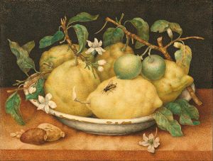 Giovanna_Garzoni_(Italian_-_Still_Life_with_Bowl_of_Citrons_-_Google_Art_Project