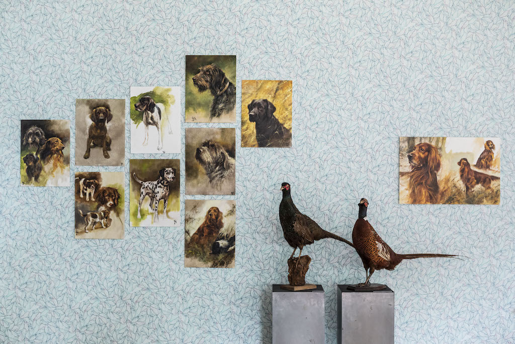 KOM VOOR EN&nbsp;BLIJF!